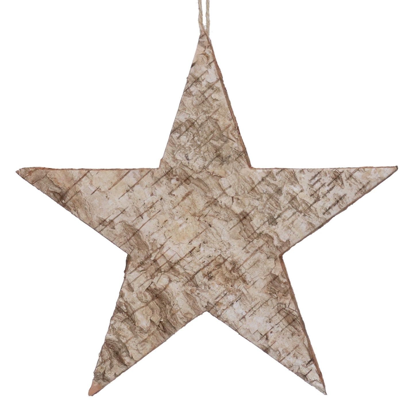 Gisela Graham Silver Birch 5-Point Star Decoration