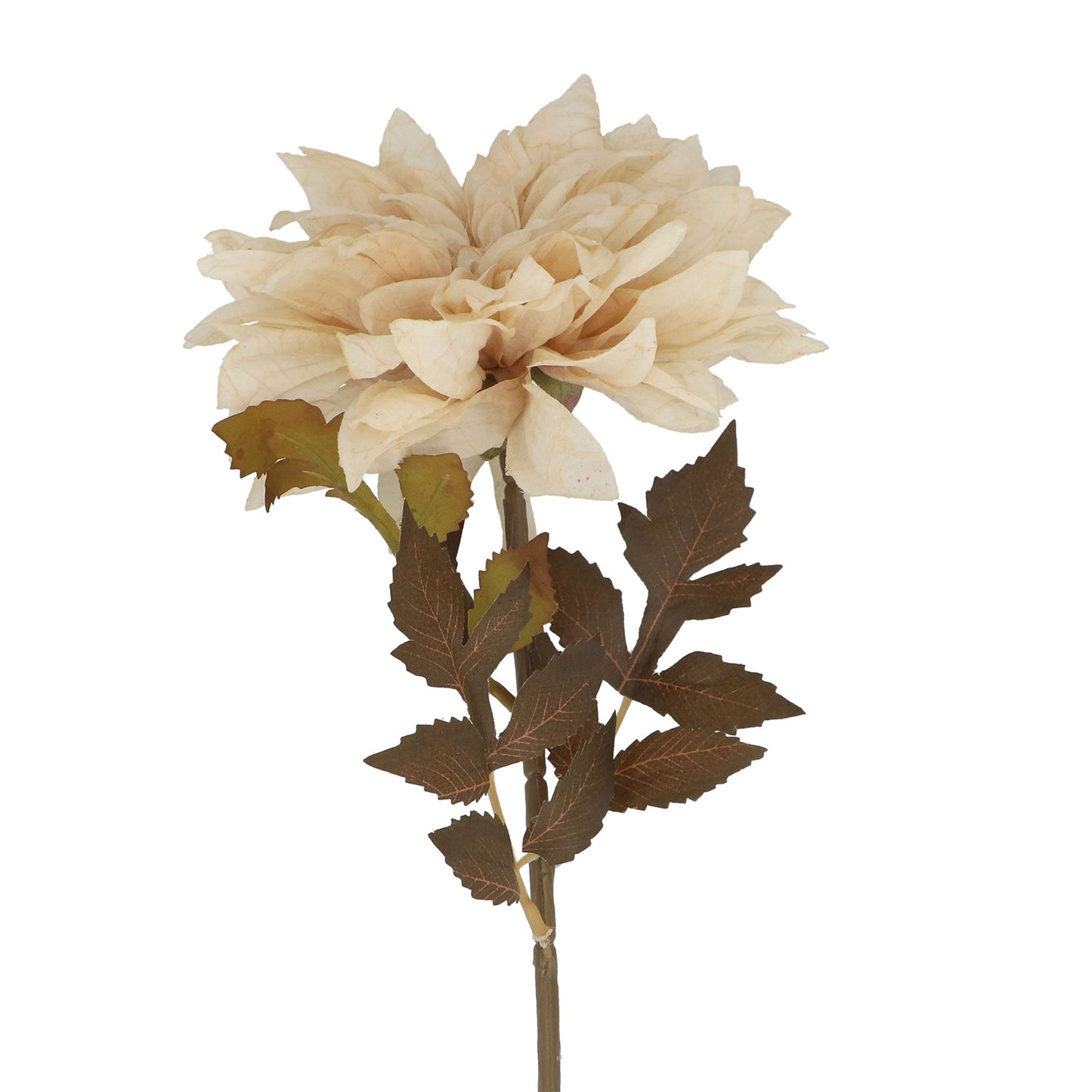 Gisela Graham Dahlia Stem - Antique Cream