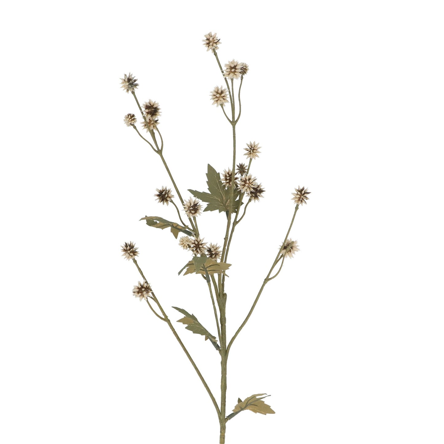 Gisela Graham Green/Cream Mini Echinop Spray