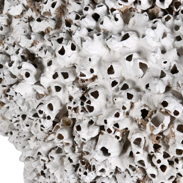 Terra Barnacle Pot