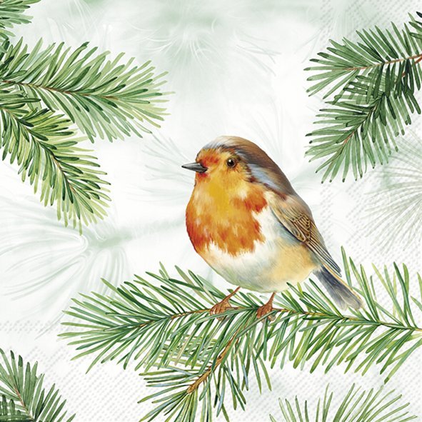 Napkins - Charming Robin