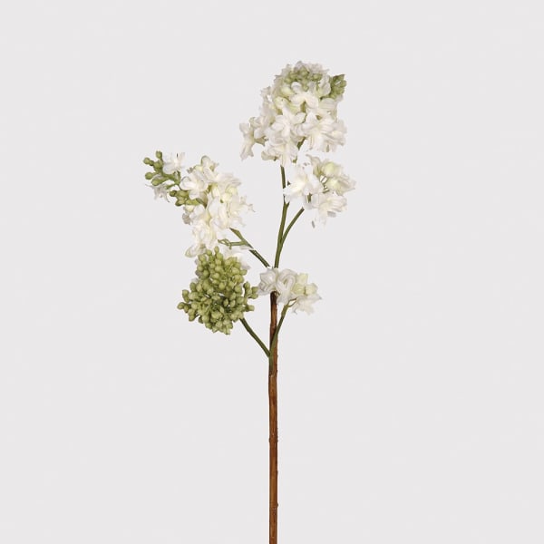 White Lilac Spray