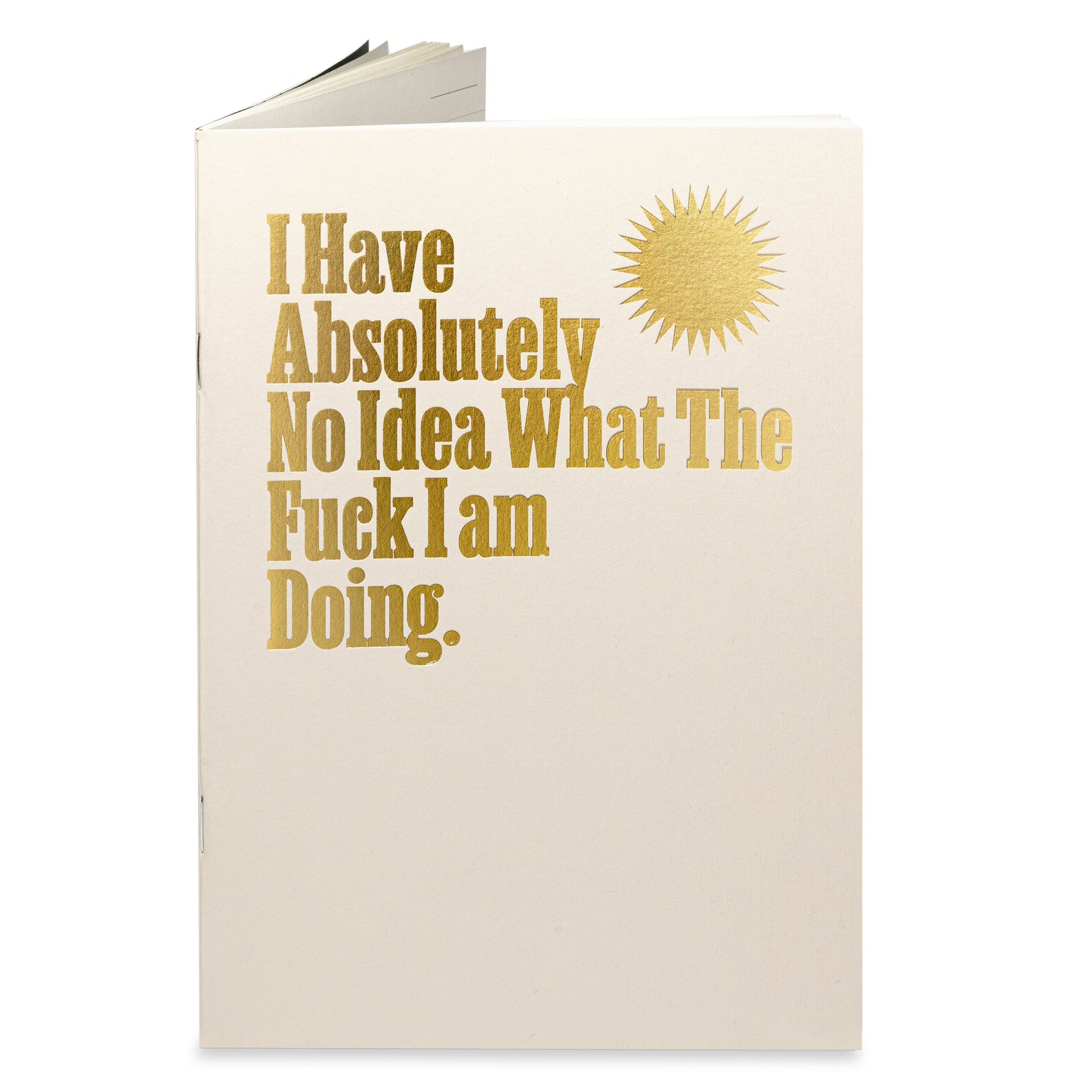 Archivist Lined Notebook - Absolutely No Idea by RWF
