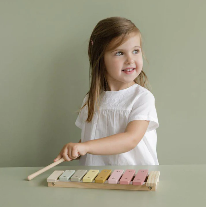 Little Dutch Xylophone