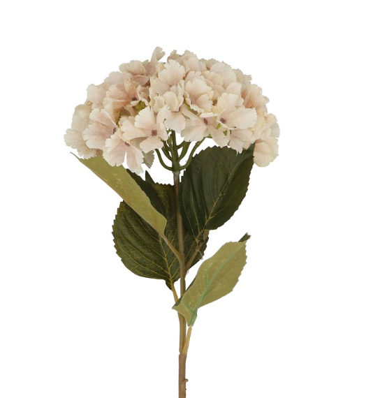 Gisela Graham Antique Cream Hydrangea Stem