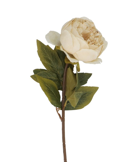 Gisela Graham Antique Cream Peony Stem