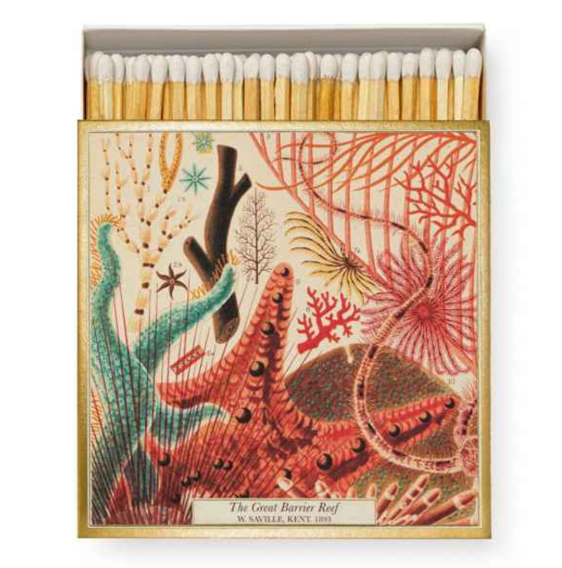 Matches - Natural History Museum Great Barrier Reef