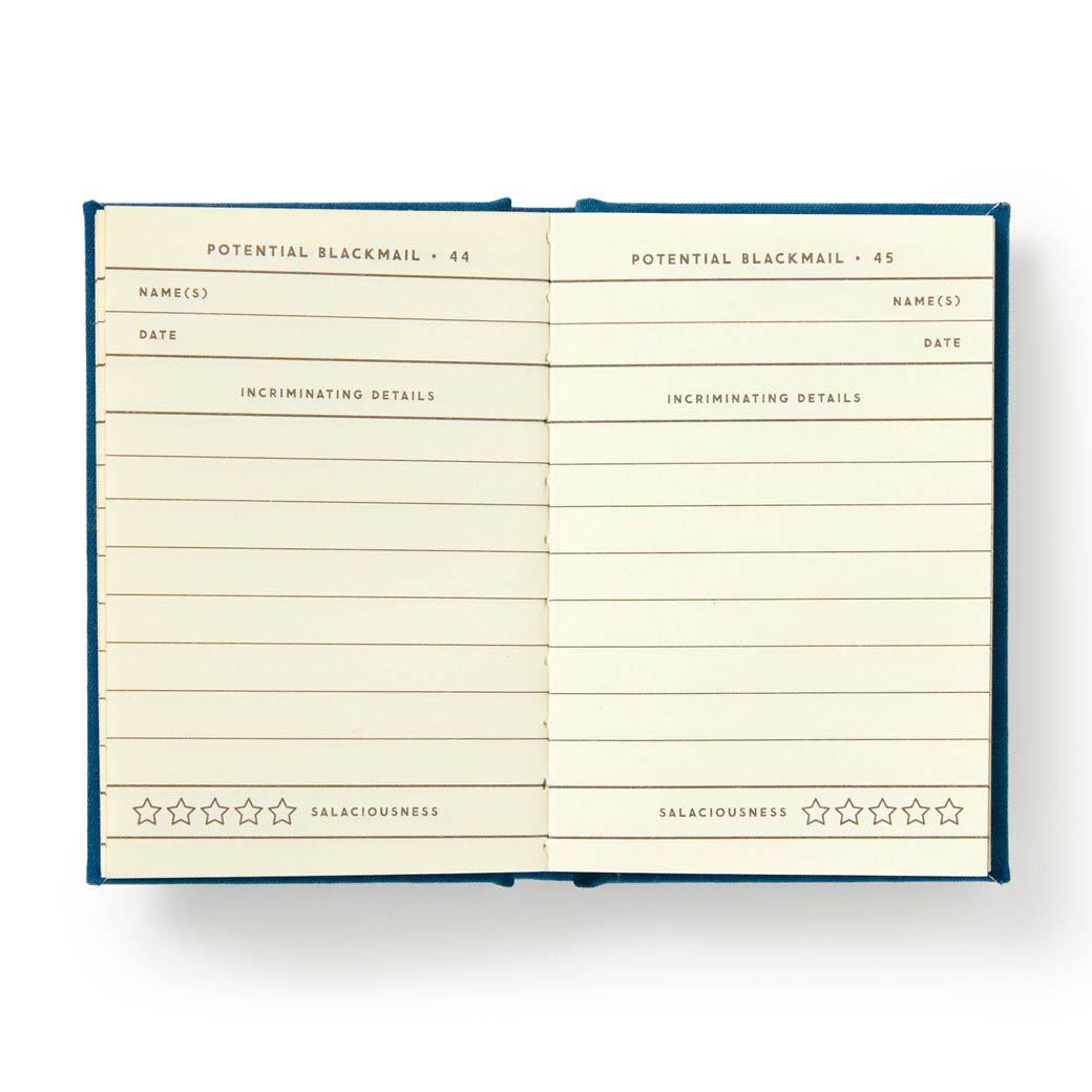 Future Blackmail Tiny Diary