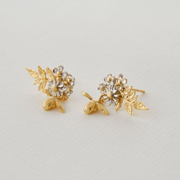 Alex Monroe Posy Bloom Bee Earrings