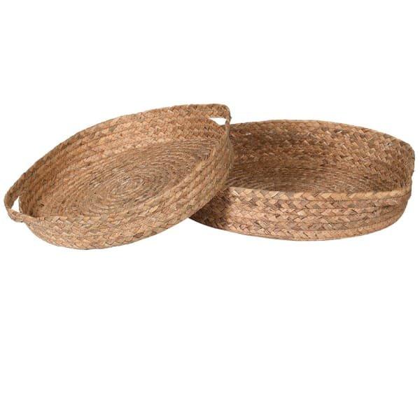Water Hyacinth Trays