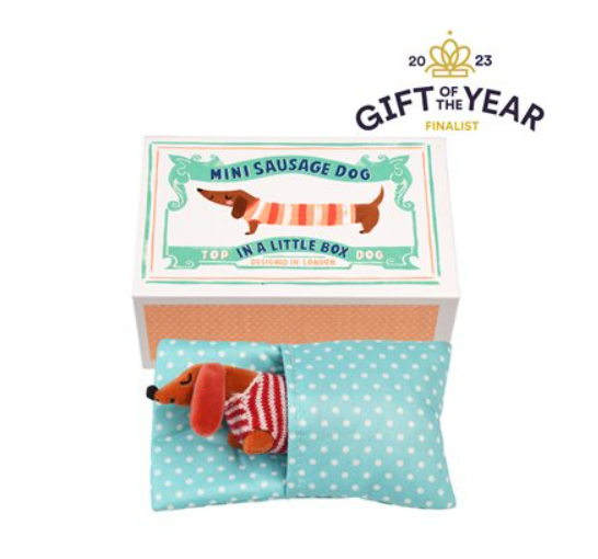 Mini Sausage Dog In A Little Box
