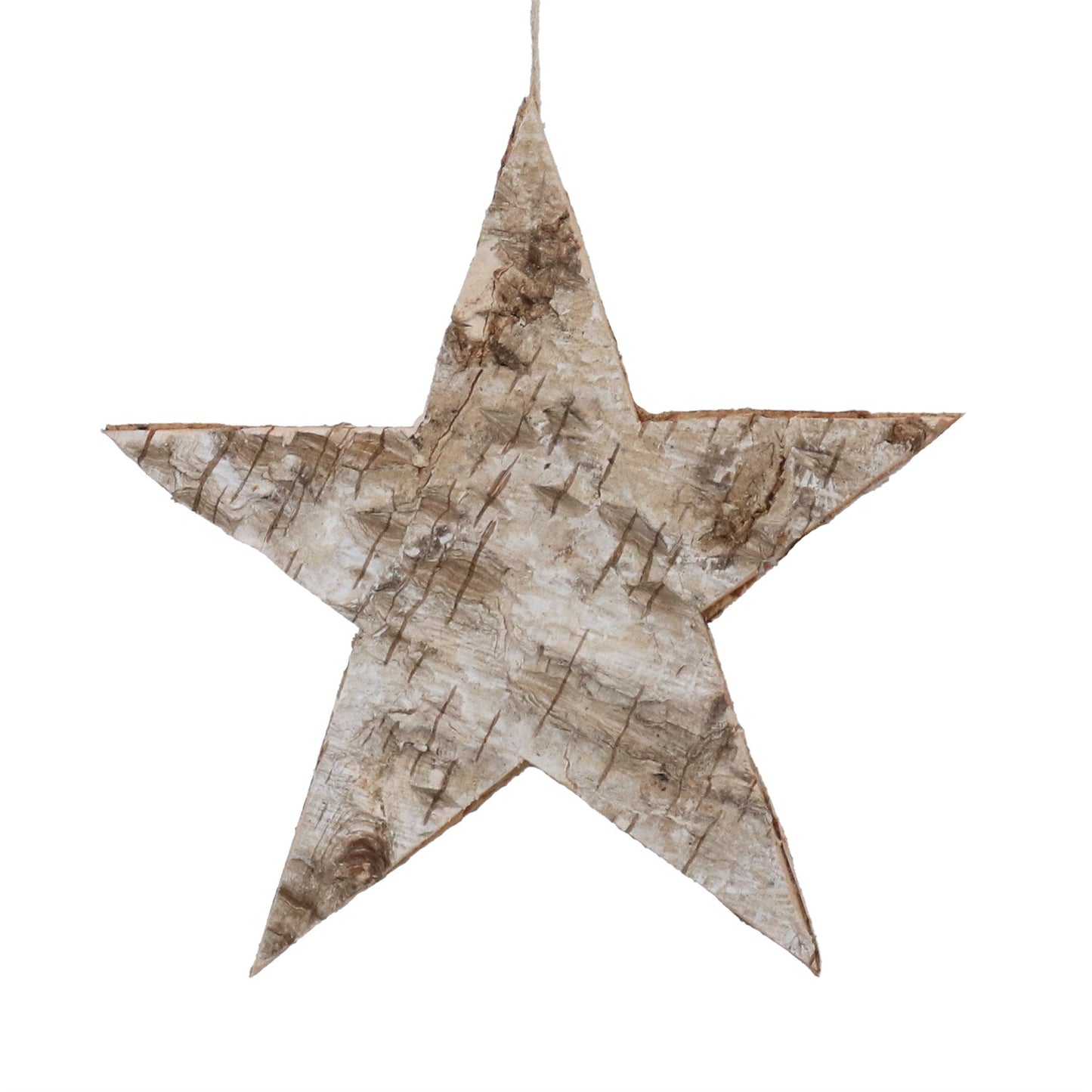 Gisela Graham Silver Birch 5-Point Star Decoration