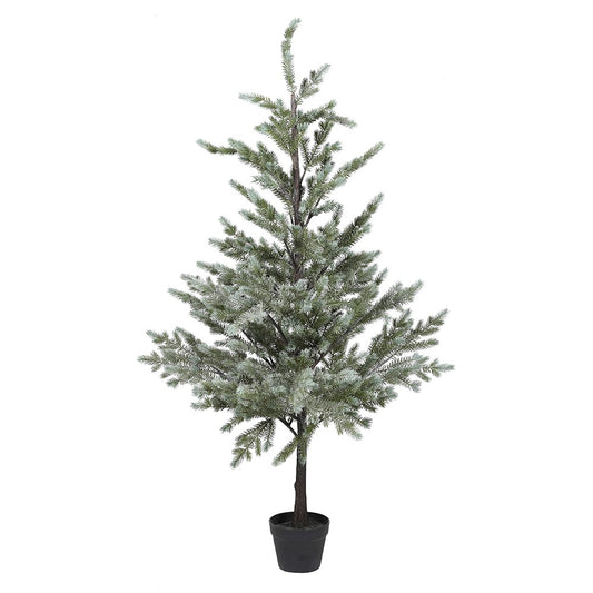 Noble Pine