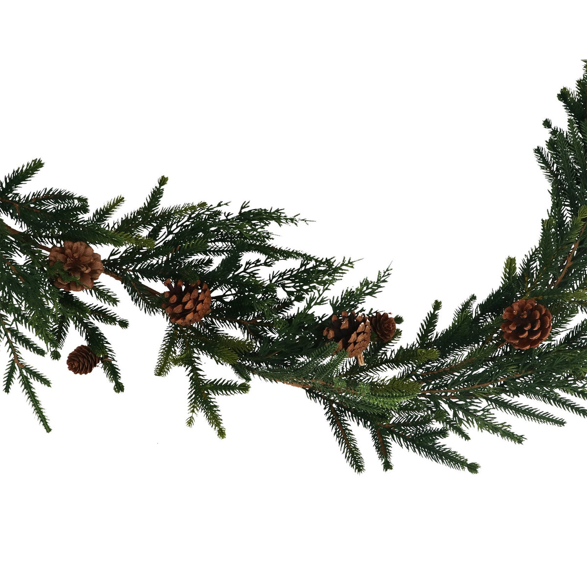 Gisela Graham Garland - Pine with Conifer