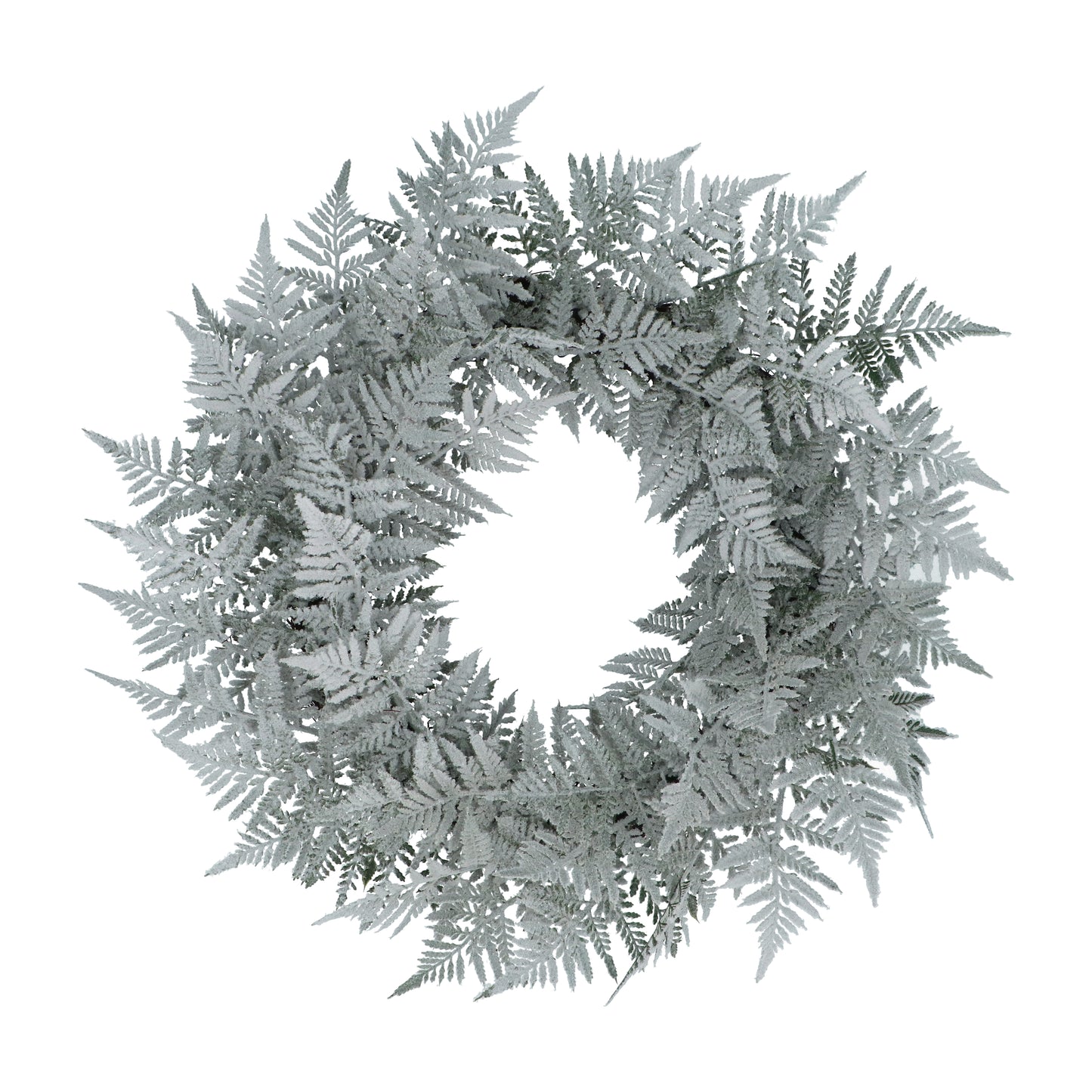 Gisela Graham Frosted Flock fern Wreath