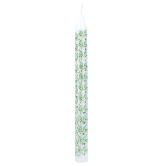 Gisela Graham Fir Sprigs and Berries Advent Candle