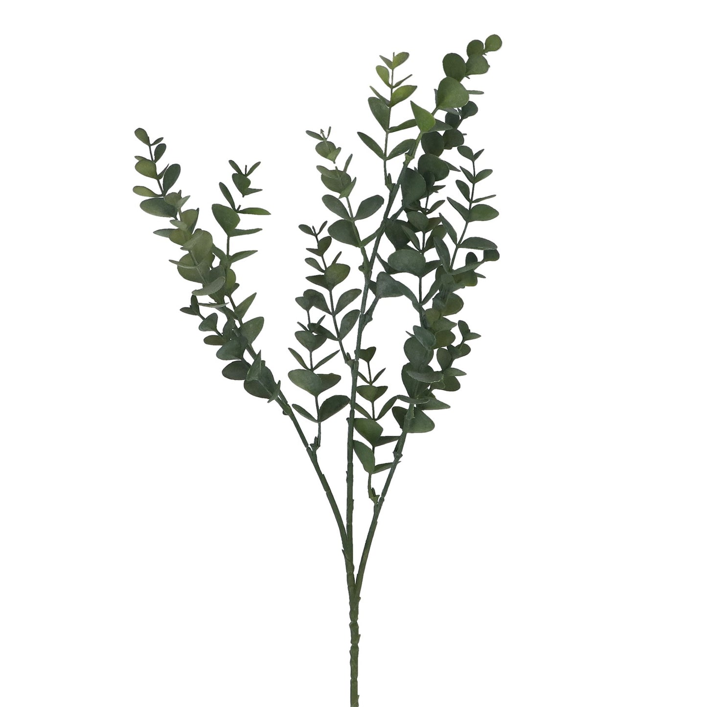 Gisela Graham Mini Eucalyptus Pick