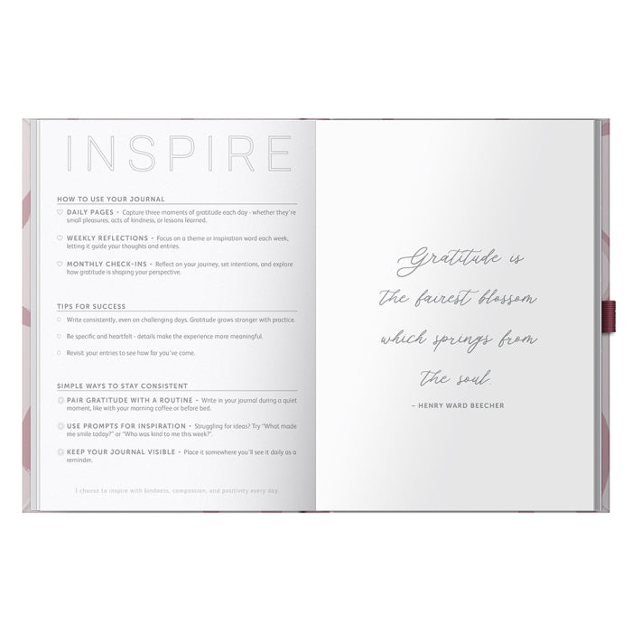 Busy B Gratitude Journal