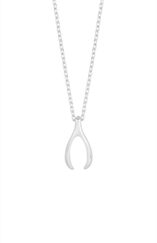 Estella Bartlett Wishbone Necklace