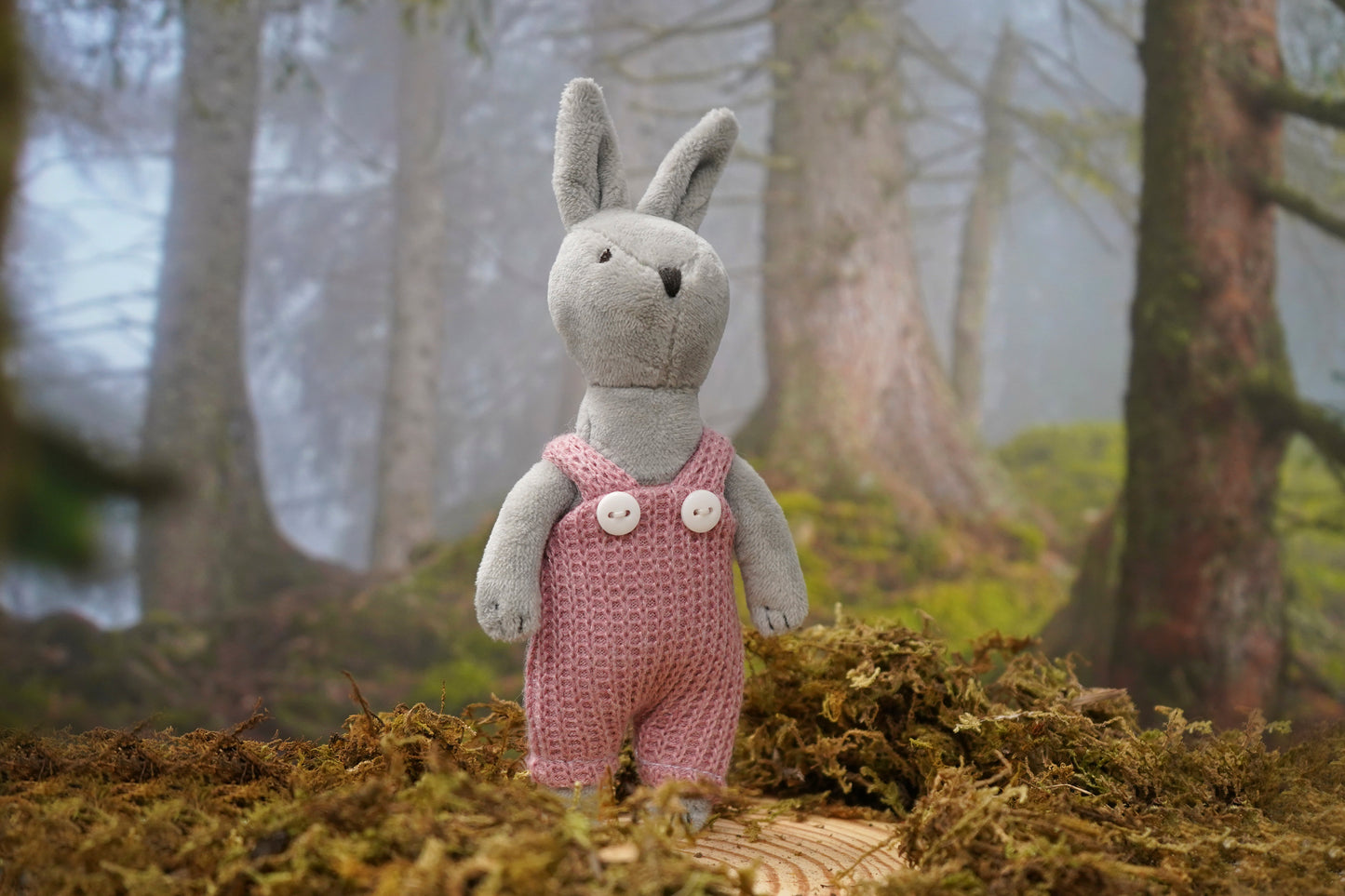 Wild Wanderers Betsy the Bunny Matchbox