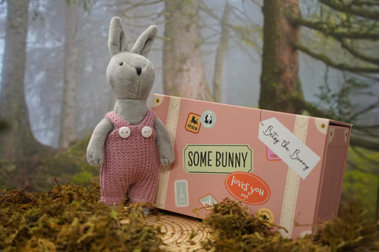 Wild Wanderers Betsy the Bunny Matchbox