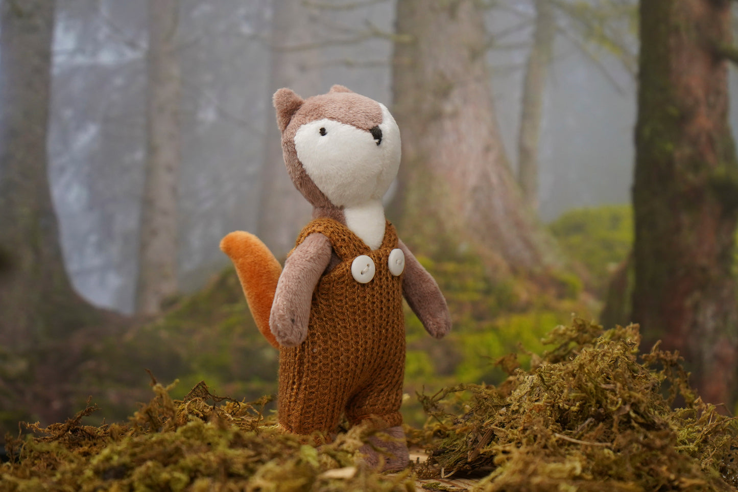 Wild Wanderers Susie the Squirrel