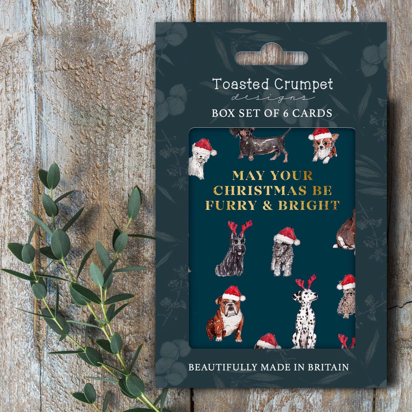 Toasted Crumpet Furry and Bright Box Set of 6 Cards
