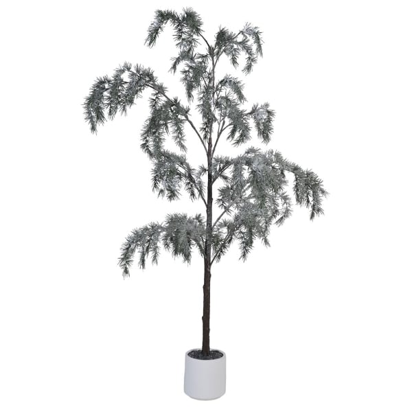 Pine Tree in White Pot