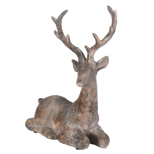Resting Darling Deer