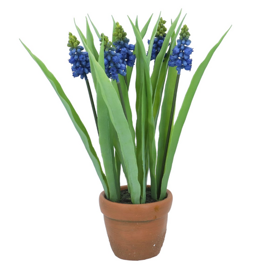 Gisela Graham Terracotta Potted Plant 25cm - Muscari