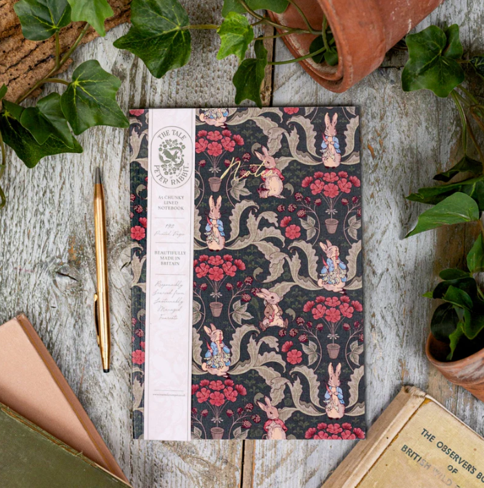 Peter Rabbit The Vegetable Thief (Noir) A5 Chunky Notebook