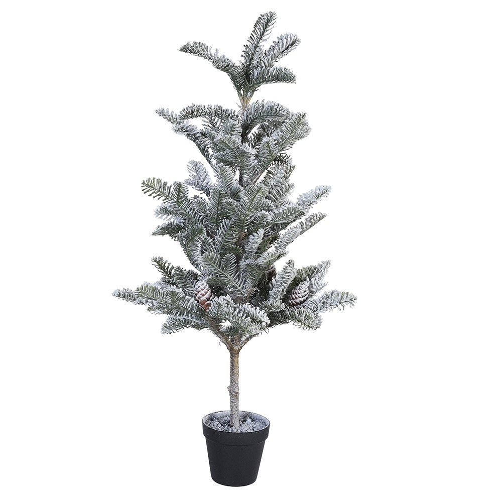 Snowy Norse Pine Tree