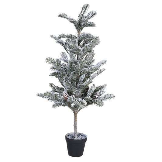 Snowy Norse Pine Tree