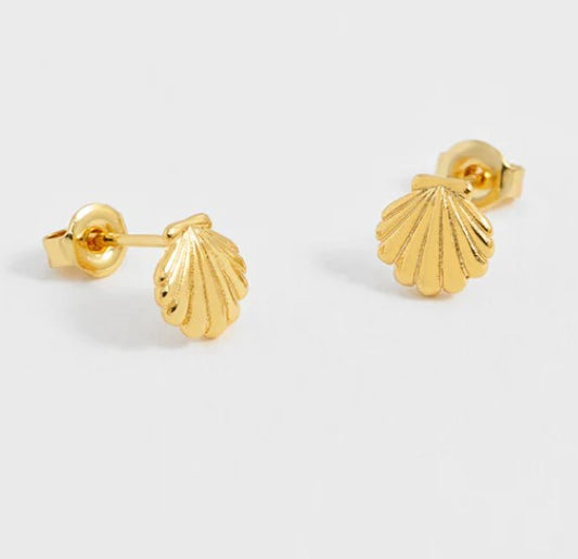 Estella Bartlett Puffy Seashell Stud Earrings