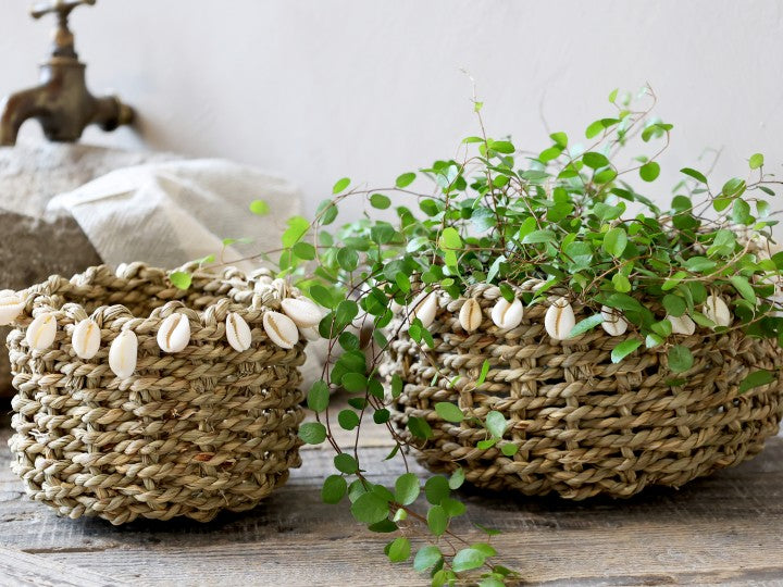 Wicker Basket with Sea Shells