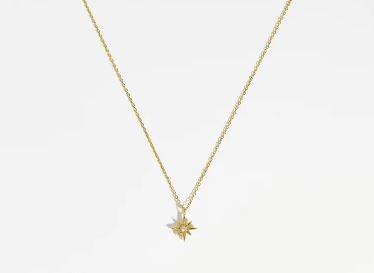 Estella Bartlett North Star Necklace Gold Or Silver Plated