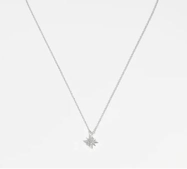 Estella Bartlett North Star Necklace Gold Or Silver Plated